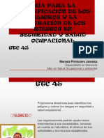 Diapositivas Solucion GTC 45 Ok