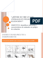 Cclase Nâ°4 Animales en Peligro de Extinciã N.