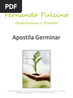 Apostila Fernando Pulcino Gastronomia - Germinação de Grãos
