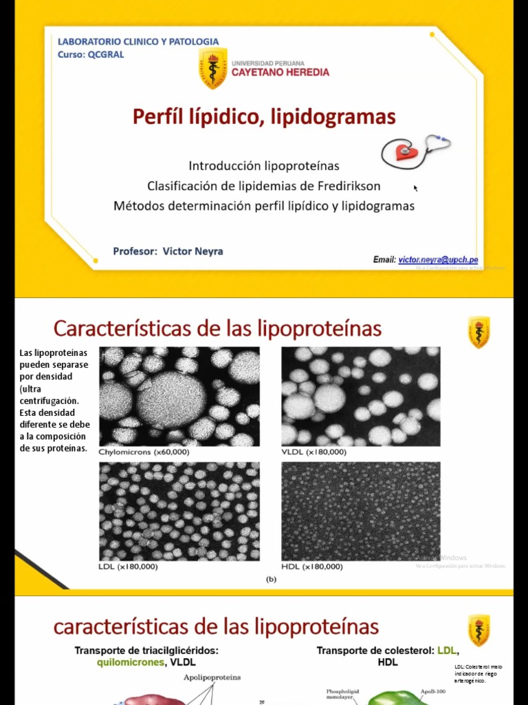 Lipidograma | PDF | Salud y bienestar
