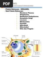 Biologi Sel