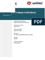 7.1 Trabajo Individual