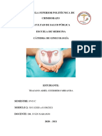 ARIEL GUERRERO-8-C-Identificación de los factores de riesgo Obstétrico y Perinatal y los daños reproductivos asociados.