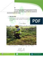 INFORME DE OBRA FINAL A&A - Compressed-1-100-21-60