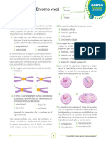 Prueba Saber 2