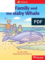25 The Family and The Baby Whale