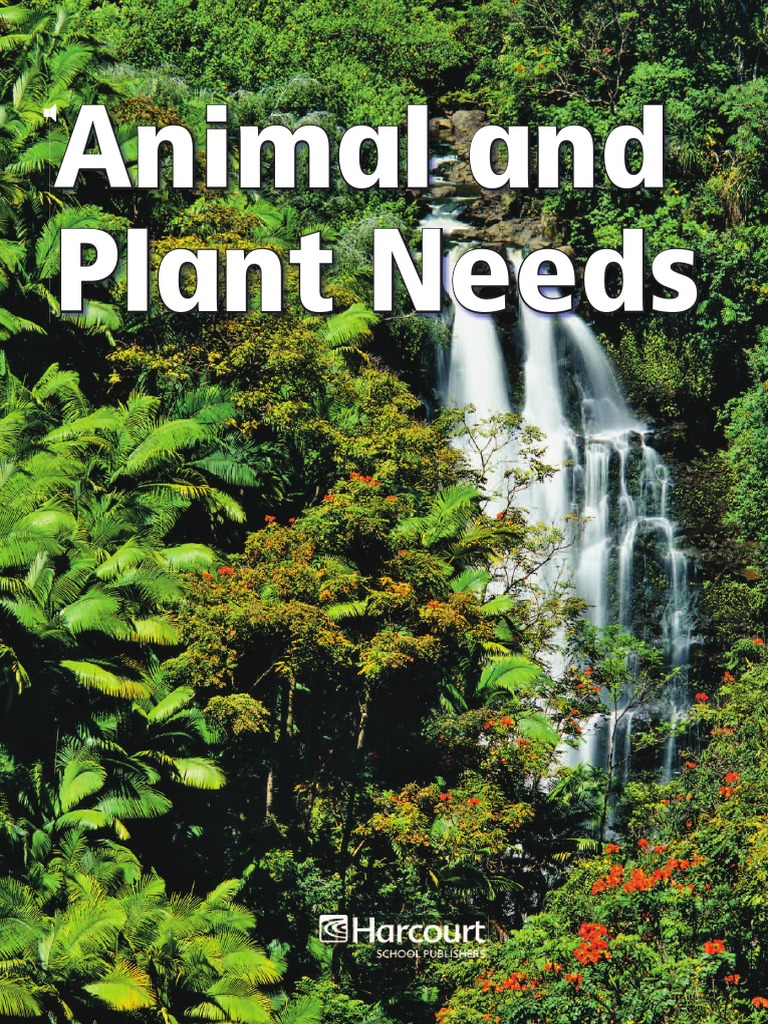 Animal and Plant Needs PDF Plants Root