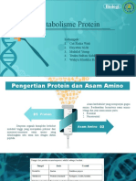 Metabolisme Protein