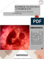 Origen y Desarrollo Del Embarazo-Crecimiento Fetal