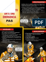 Afiche - PAS - copia