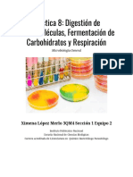 Reporte Práctica 8 - Digestión de Macromoléculas, Fermentación de Carbohidratos y Respiración - Ximena López Merlo 3QM4