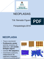 4 Neoplasias 16-08