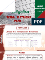 Ciclo Pre Sesion 13.1-MATRICES 04 Junio 2022 Corregido