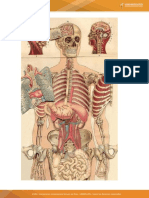 Anatomia y Fisiologia Act 4