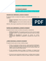 El Aparato Fonador Hiumano - (Heydi Pamela Sergio Roberto) .