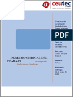 Castro - L - s-2 - Investigacion Sobre Sindicatos