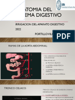 Anatomia Del Sistema Digestivo 2