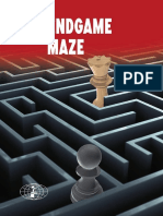 2020 Endgame Maze - Chess Informant