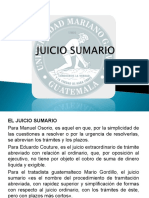 II. JUICIO SUMARIO 2021