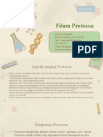 Protozoa Kelompok 1