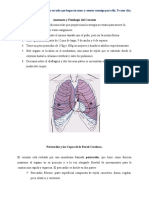 Fisiologia Del Corazon.