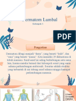 Dermatom Lumbal