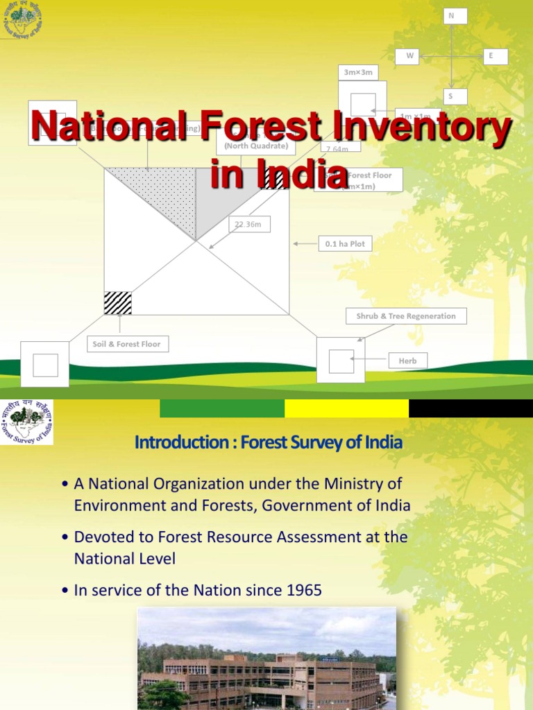 National Forest Inventory in India | PDF | Bamboo | Agriculture