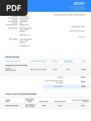 INVOICE ZOOM