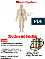 The Blood System: Arteries Veins