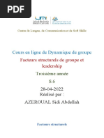 Facteurs structurels de groupe et leadership