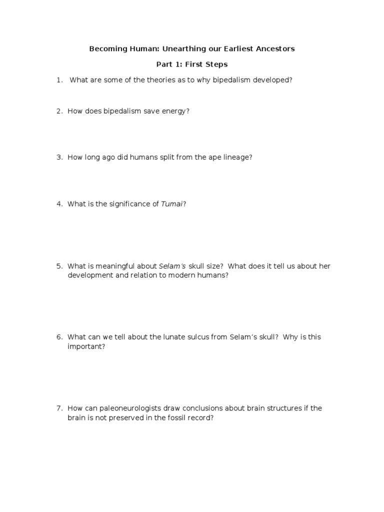 Becoming Human Worksheet | Human Evolution | Homo