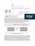 Biotecnologie Cellulari 29042022