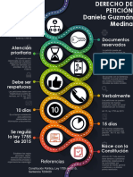 DERECHO DE PETICIÓN, Infografía