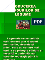 Producerea Rasadurilor de Legume - Pps