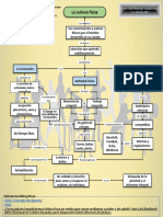 Mapa Conceptual Actividad Física y Deporte