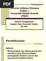 Download Chronic Kidney Disease CKD Dr Sahala by Rizky Achmad Aiyubhi SN57894177 doc pdf