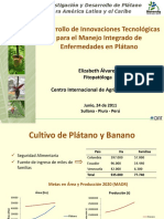 11-E-Alvarez-Innovaciones-Tecnologicas-para-Manejo-integrado-de-Platano