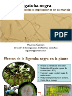 13.resistencia - Fungicidas - Sigatoka - Mauricio Guzmán