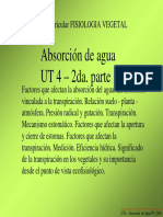 UT4 - 2da Parte Absorcion Agua - 10