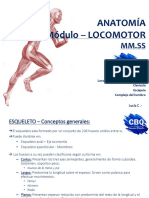 II Locomotor