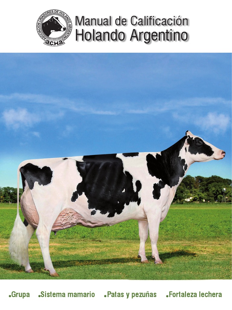 Manual de Calificación Holando Argentino: Una guía completa para ...