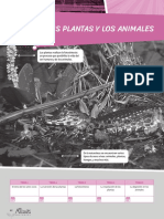 L Docente C.Naturales 4° Unidad 3