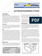 Selecting, Brooding & Rearing Small Numbers of Chicks LPM-00840