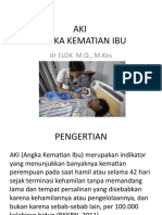 AKI Angka Kematian Ibu: DR ELOK M.Q., M.Kes