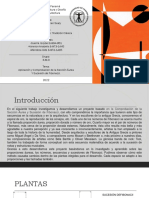 Aplicación y Comprobacion de La Sección Áurea