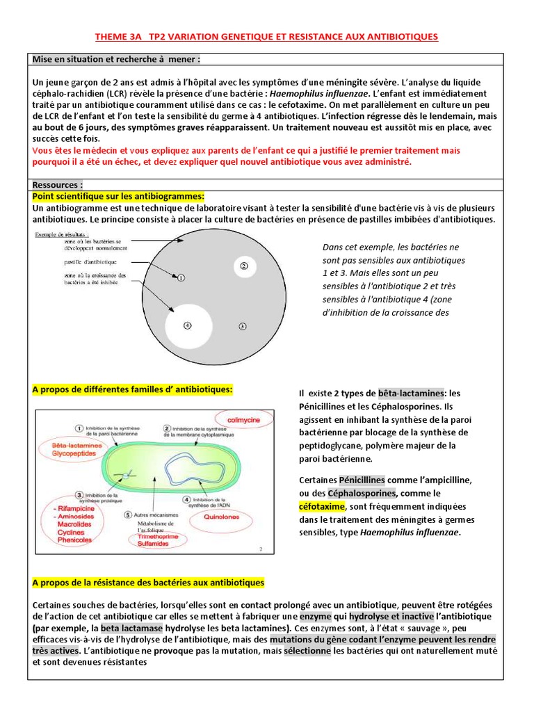 Theme 3A Tp2 Variation Genetique Et Resistance Aux Antibiotiques | PDF ...
