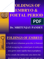 Foldings of Embryo Foetal Period 1