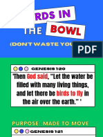 Birds in The Bowl