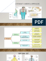 Sistem Syaraf 1 Med Spin