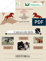 Caballos Don. Exp